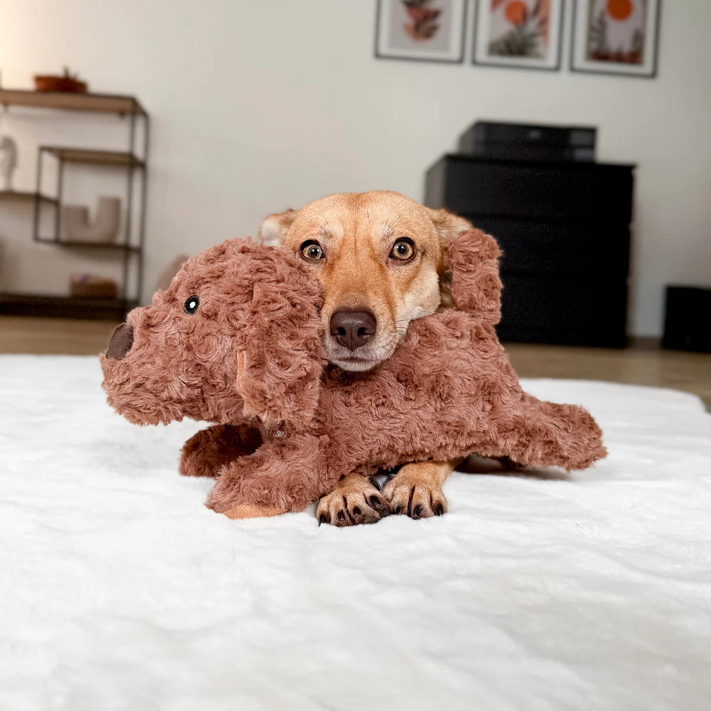 A Plush Dog Toy That’s Cute, Tough, and Made to Last