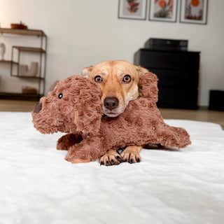 A Plush Dog Toy That’s Cute, Tough, and Made to Last