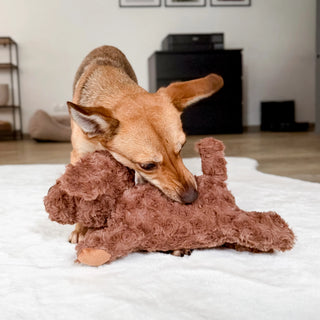 A Plush Dog Toy That’s Cute, Tough, and Made to Last