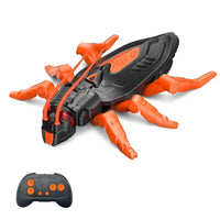 Orange Cockroach