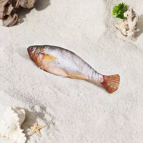 Petgravity Bitesized Realistic Flopping Fish Cat Toy 3 Pack