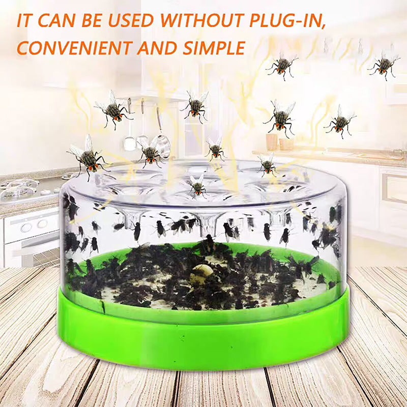 Reusable fly trap—no electricity, no poison! 🏠 Safe to use in the kitchen and around children and pets