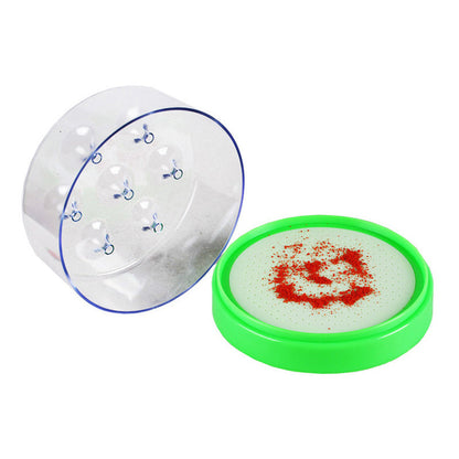 Reusable fly trap—no electricity, no poison! 🏠 Safe to use in the kitchen and around children and pets